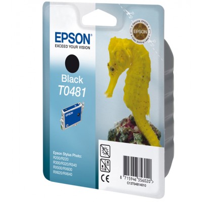 Epson C13T048140 Cartouche Noir T0481 (R300  RX600  RX500   [3904942]