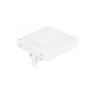 Plastron RJ45 45*45 [3909991]