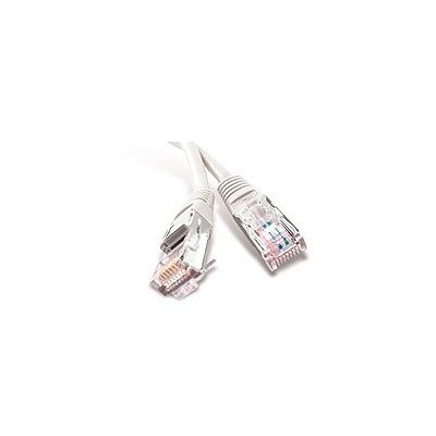 Cordon RJ45 1 m CAT6 FTP  precable [3915895]