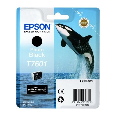 Epson C13T76014010 UltraChrome T7601 - Noir Photo