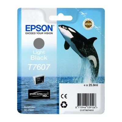 Epson C13T76074010 UltraChrome T7607 - Noir léger