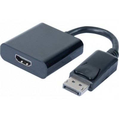 Adaptateur DisplayPort vers hdmi 20 cm