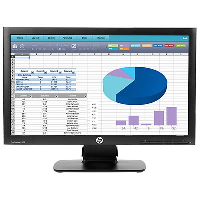 Ecran LED 20" HP P202 1600X900 16:9 5MS 1000:1 VGA/DP [3929389]