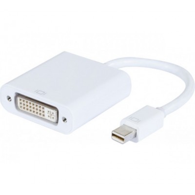 Adaptateur mini DisplayPort 1.1 vers DVI-D plastique