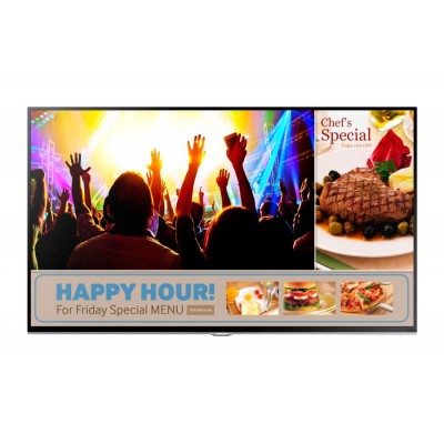 Ecran LED 48" Samsung RM48D