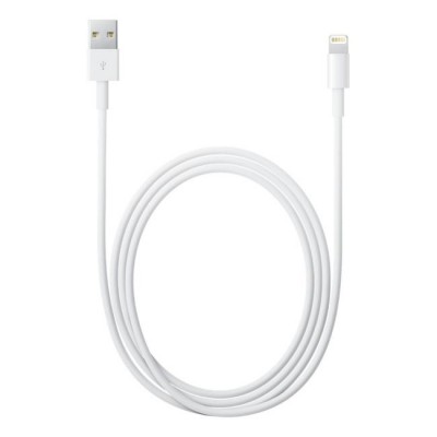 Cable Apple USB Lightning 1M