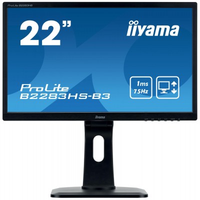 Ecran LED 21,5" IIYAMA ProLite B2283HS-B3