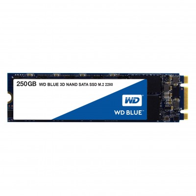 Western Digital WD Blue 250Go
