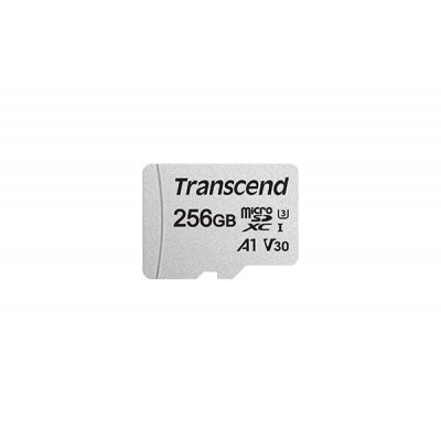 Transcend Premium 400X 256Go