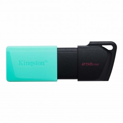 Clé USB 256Go USB 3.2 Kingston DataTraveler Exodia M